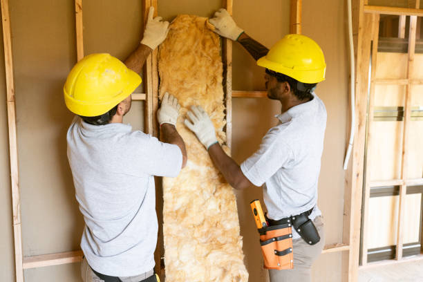 Best Residential Insulation Services  in De Soto, MO