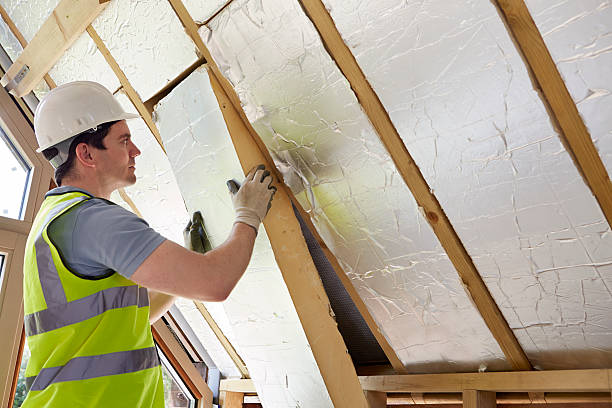 Best Insulation Inspection Services  in De Soto, MO